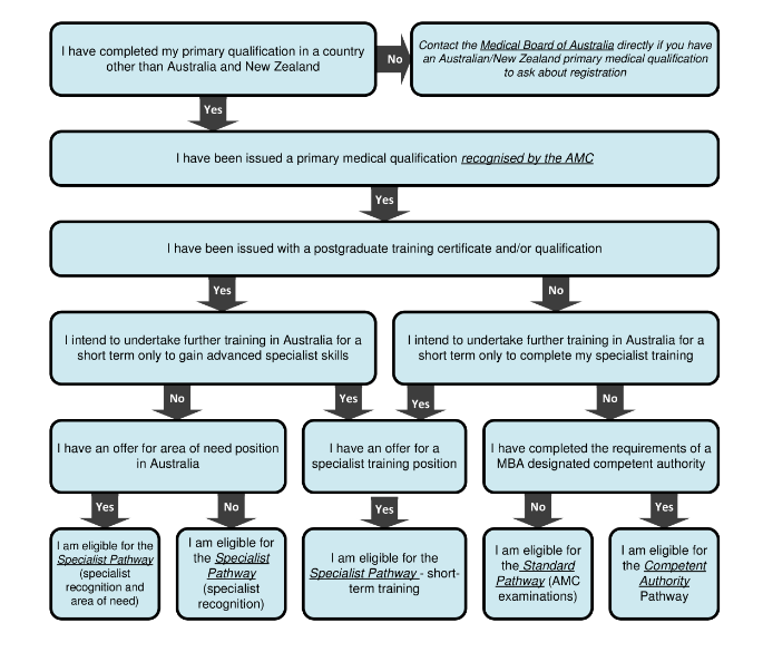 AMC pathways chart